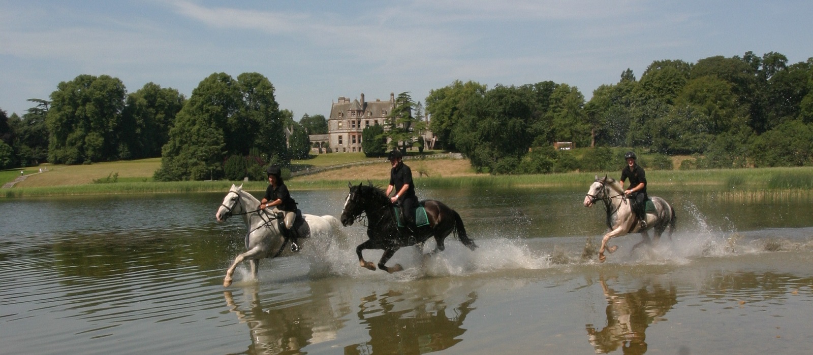 Castle the horses galloping x irelandsbluebook